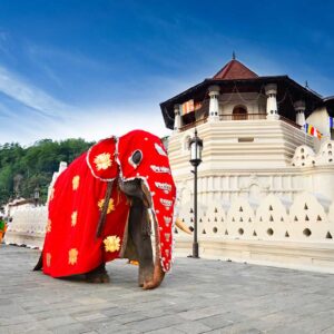 3 Days / 2 Nights – Kandy & Bentota Tour (4Pax)